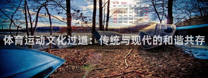 bbin视讯：体育运动文化过道：传统与现代的和谐共存