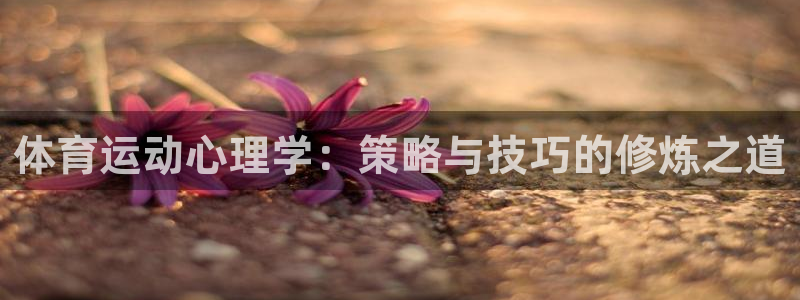 bbin视讯游戏平台：体育运动心理学：策略与技巧的修炼之道