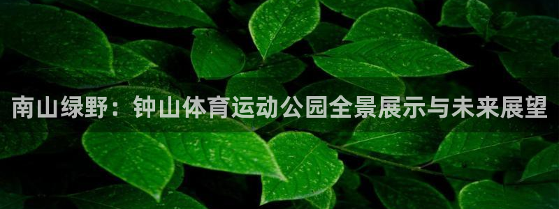 bbin视讯下：南山绿野：钟山体育运动公园全景展示与未来展望