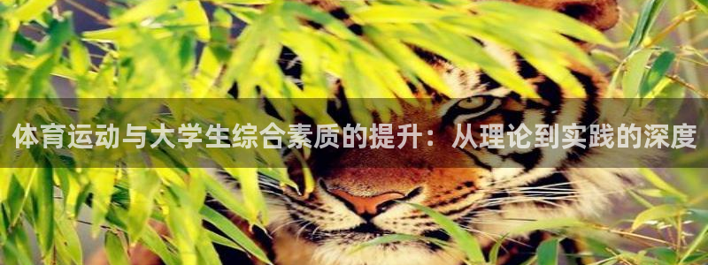 bbin视讯游戏官网：体育运动与大学生综合素质的提升：从理论到实践的深度