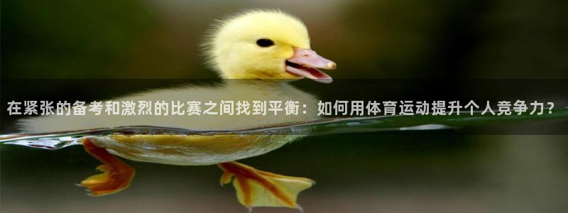 bbin视讯游戏平台：在紧张的备考和激烈的比赛之间找到平衡：如何用体育运动提升个人竞争力？