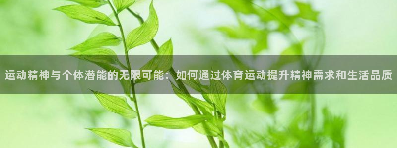 bbin视讯游戏平台：运动精神与个体潜能的无限可能：如何通过体育运动提升精神需求和生活品质