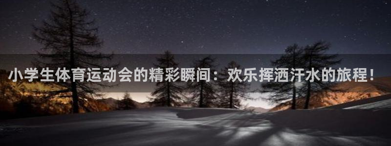 bbin视讯下：小学生体育运动会的精彩瞬间：欢乐挥洒汗水的旅程！