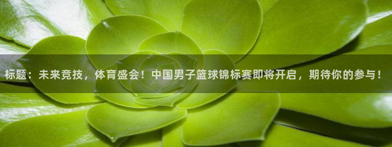 bbin视讯：标题：未来竞技，体育盛会！中国男子篮球锦标赛即将开启，期待你的参与！