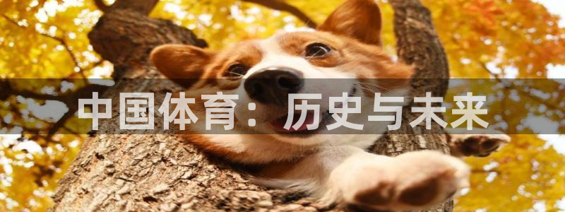 bbin视讯游戏官网：中国体育：历史与未来